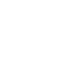 Customization icon
